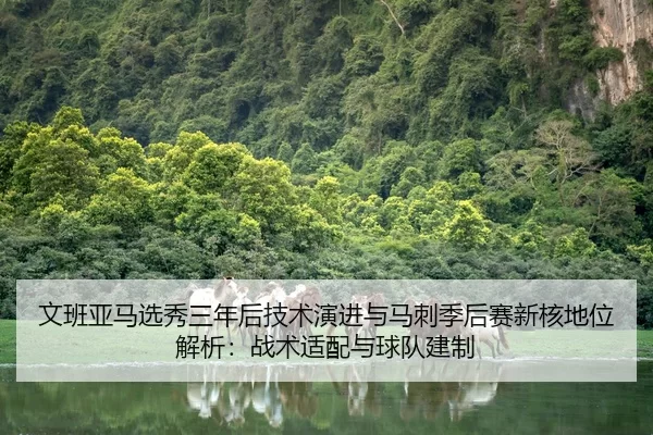 文班亚马选秀三年后技术演进与马刺季后赛新核地位解析：战术适配与球队建制